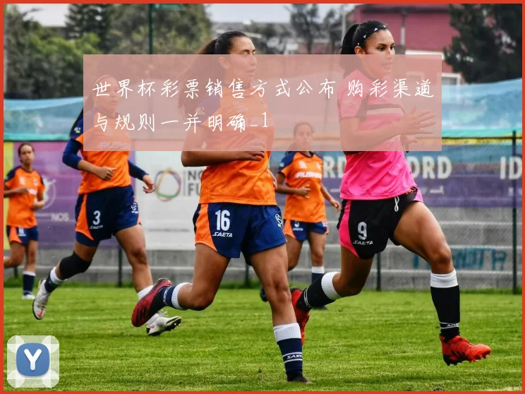 世界杯彩票销售方式公布 购彩渠道与规则一并明确_1