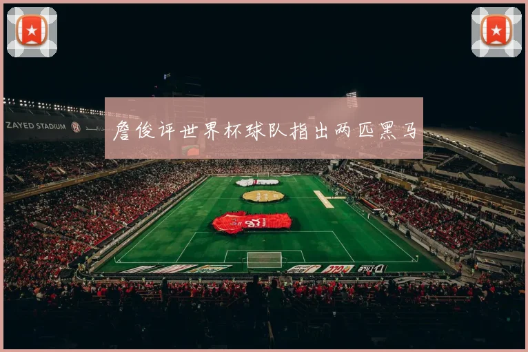 詹俊评世界杯球队指出两匹黑马
